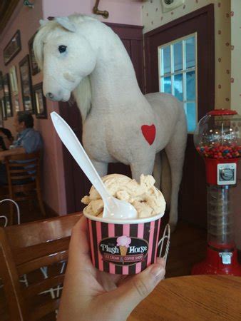 Plush horse palos - Jan 27, 2017 · The Plush Horse at 12301 South 86th Avenue in Palos Park has been serving home-made ice cream since 1937. Like Mariano Rivera, they have built their reputation on one thing--ice cream, 60 flavors--and they have been satisfying customers for 80 years. 
